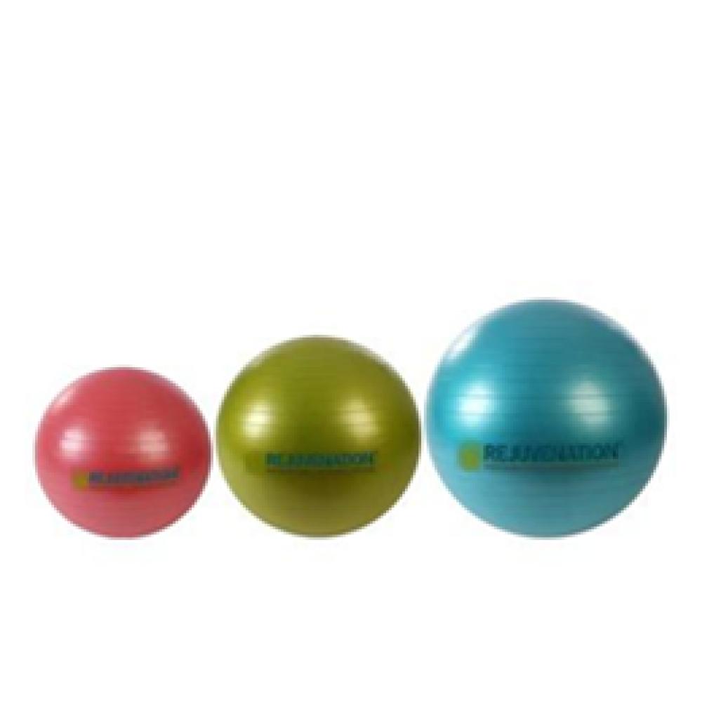 Image for product - Complete Support and Stability Balls Image for product - Complete Support and Stability Balls