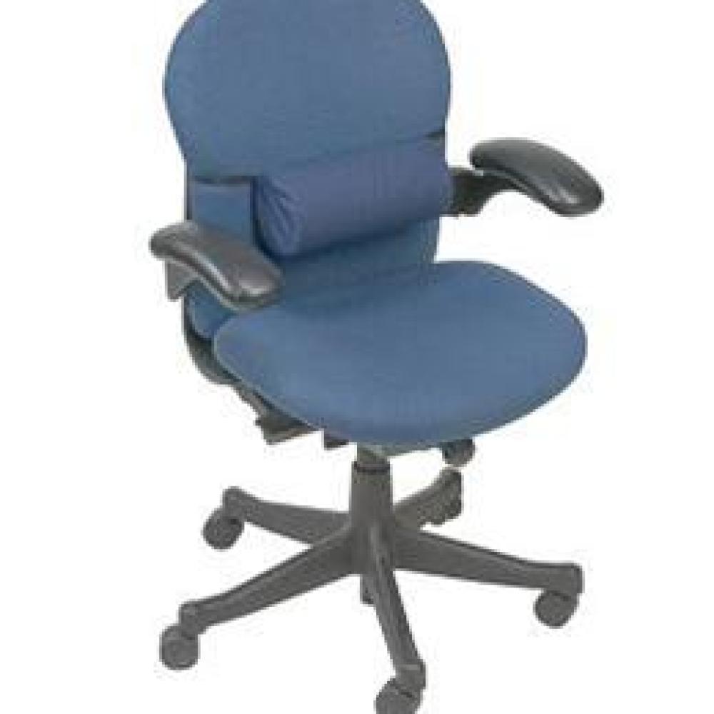 Image for product - Lumbar Support - Full Roll